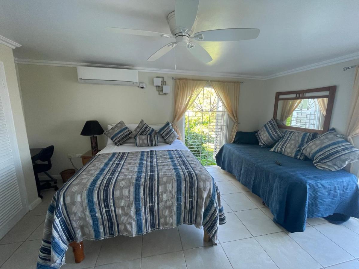 Hummingbird Retreat - Luxury Oceanview Apt, 7-Minute Walk To Beach Ocho Rios Exterior photo