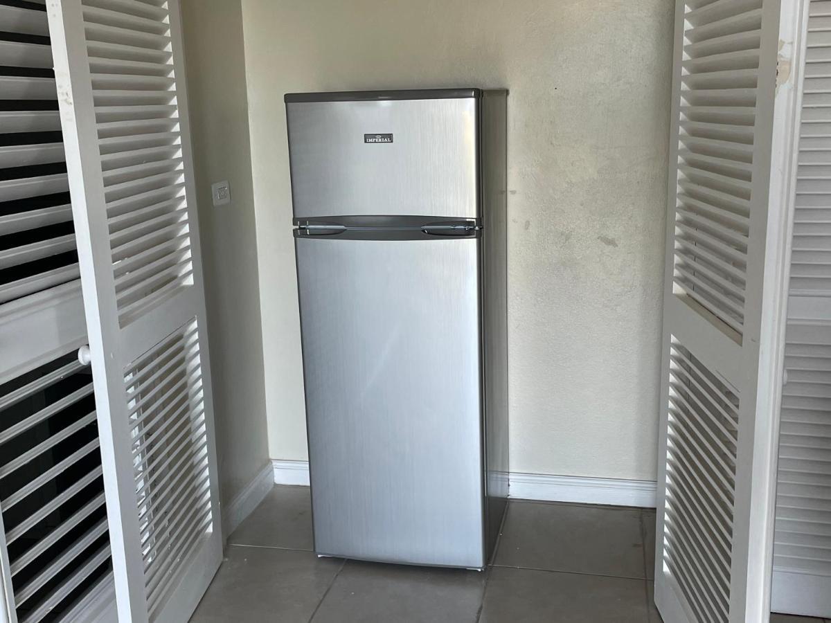 Hummingbird Retreat - Luxury Oceanview Apt, 7-Minute Walk To Beach Ocho Rios Exterior photo