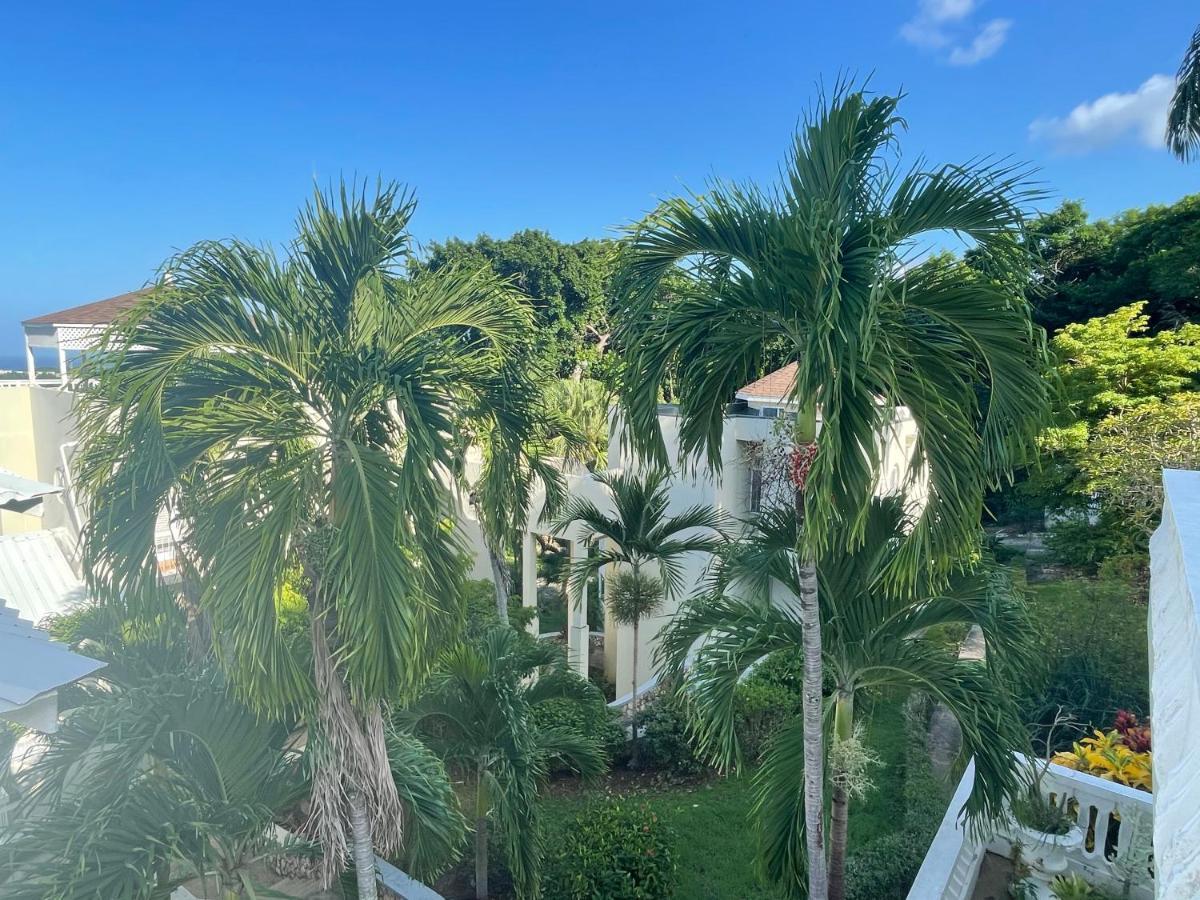 Hummingbird Retreat - Luxury Oceanview Apt, 7-Minute Walk To Beach Ocho Rios Exterior photo