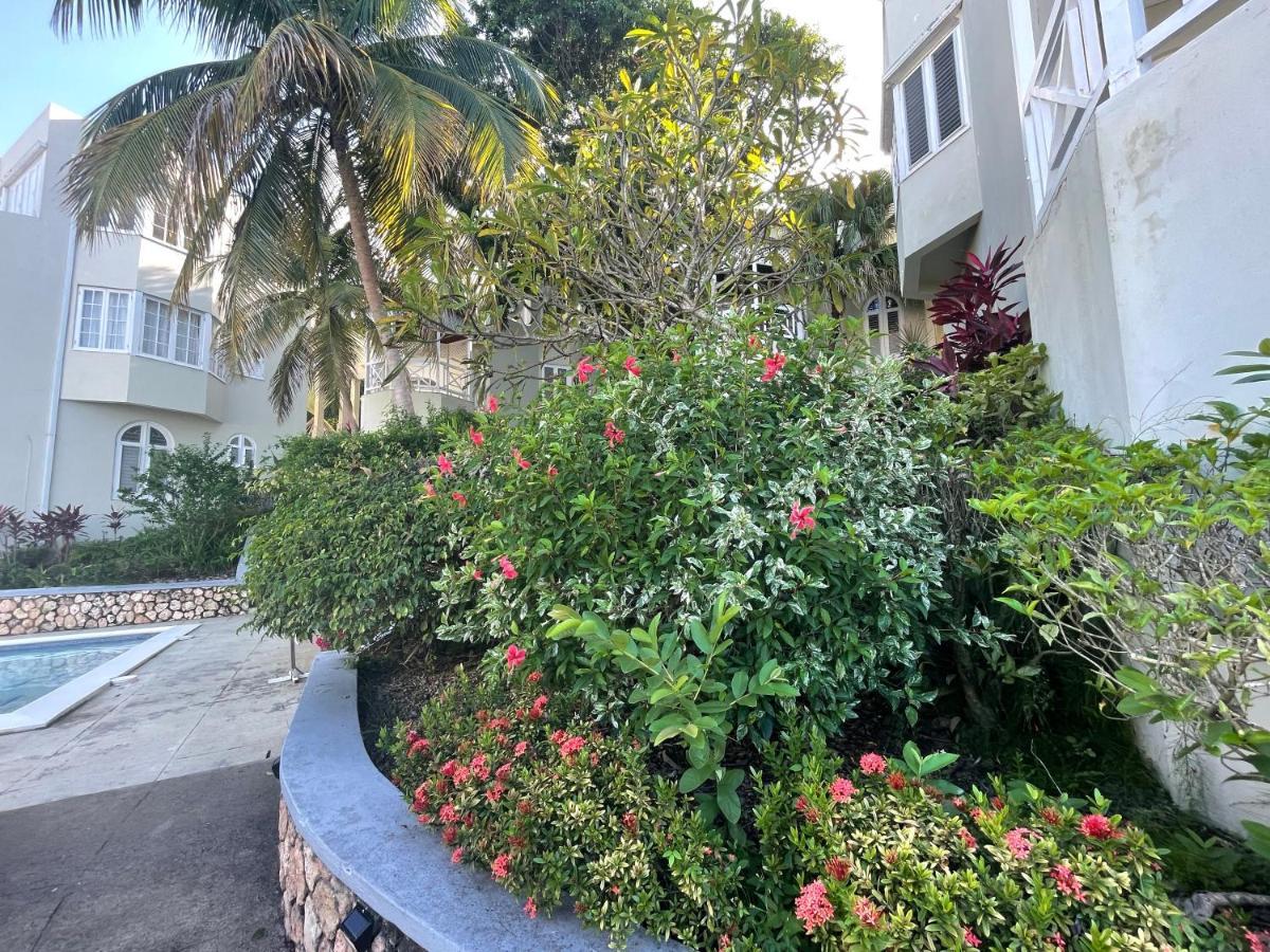 Hummingbird Retreat - Luxury Oceanview Apt, 7-Minute Walk To Beach Ocho Rios Exterior photo