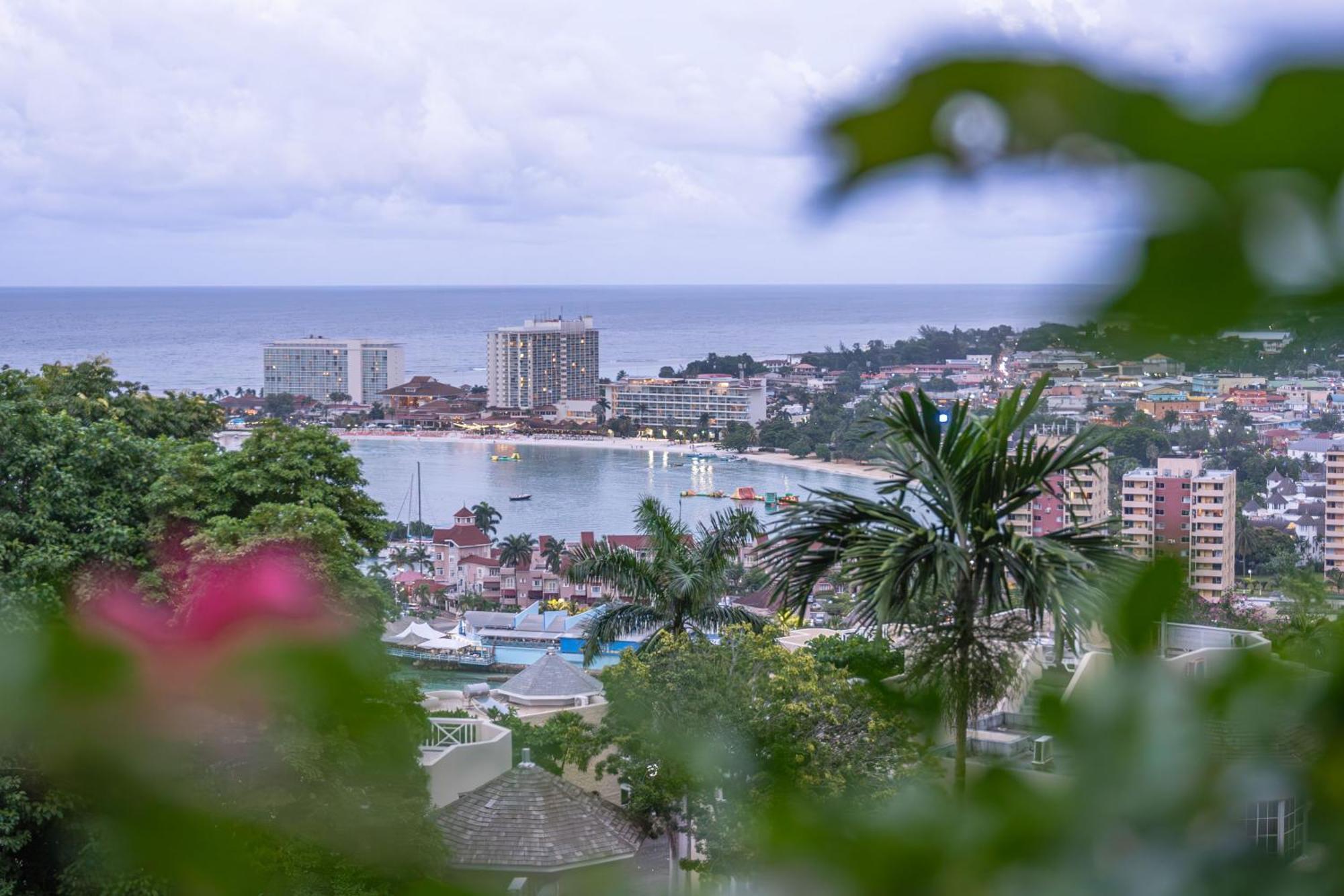 Hummingbird Retreat - Luxury Oceanview Apt, 7-Minute Walk To Beach Ocho Rios Exterior photo